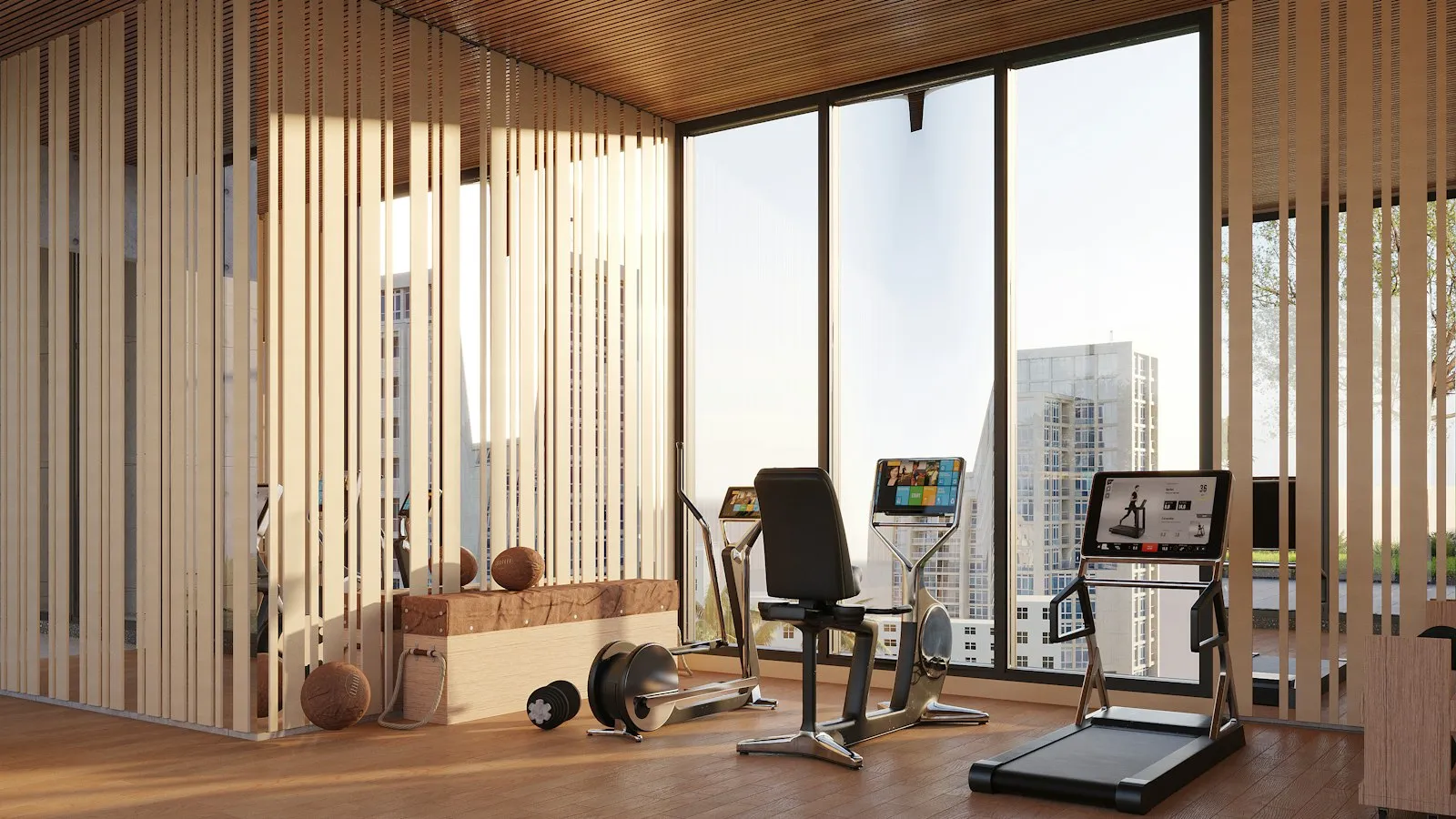 A home gym with a rack, bench and plates